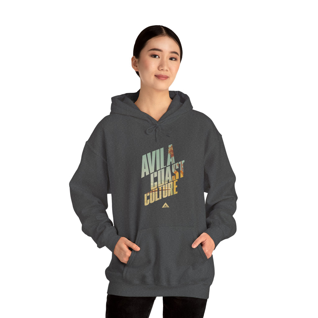 Coastal Surf Hoodie — Avila Coast Culture Graphic Pullover