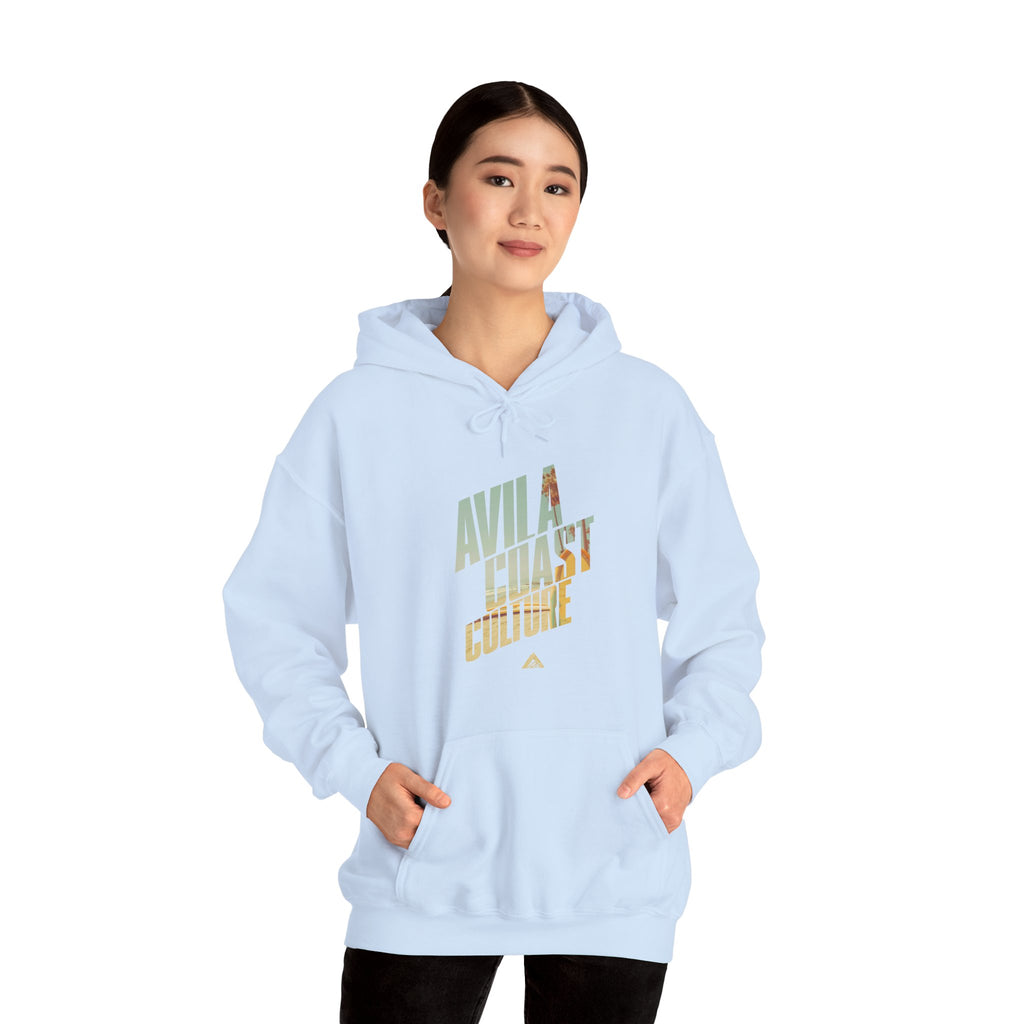Coastal Surf Hoodie — Avila Coast Culture Graphic Pullover