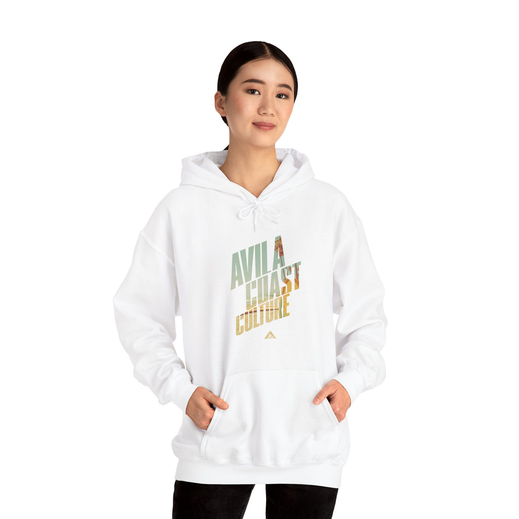 Coastal Surf Hoodie — Avila Coast Culture Graphic Pullover